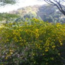 오월펜션 이미지