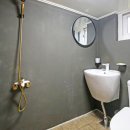 애견풀하우스 이미지