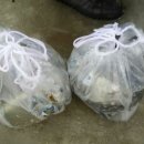 산천어마을펜션 이미지