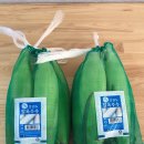 (주) 지엔에프 이미지