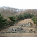 선세 이미지