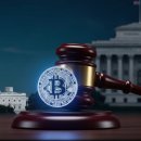 워시체인 이미지