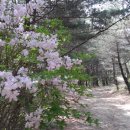 산밭골산장민박 네이버블로그