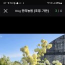 만리농원