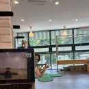 [반석동 필라테스/ 노은동 기구 필라테스 더바인] 필라테스 더바인 자이로키네시스 줌 스터디 후기