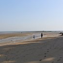 서천 다사항 펜션 이미지