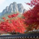 주왕산맛집펜션 이미지