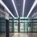 메타플렉스 이미지