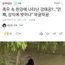 폭우 속 한강에 나타난 강태공?…“민폐, 상식에 벗어나” 와글와글 이미지