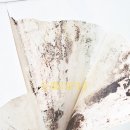 드림스파티움 이미지