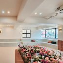 도그185 강아지미용실 이미지