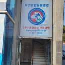 애견종합할인마트 이미지