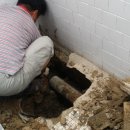 가은주유소 이미지