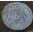 꿈꾸는 농장 이미지