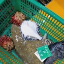 우성 카 센터 이미지