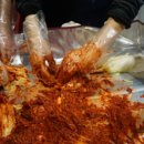 김치세상
