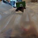 치킨신드롬 화명점 | [화명동 맛집] 치킨신드롬 화명점 핫스페셜