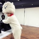 글로벌사료