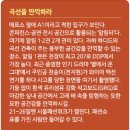 우주선 같다고? 시선을 사로잡는 도심 속 언덕 같은 건축 이미지