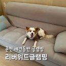 오투 | 서울근교글램핑 추천 애견동반 겨울 춘천 리버위드글램핑