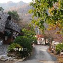 합천관광농원식당 Daum카페