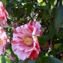 딱!여그서 이미지