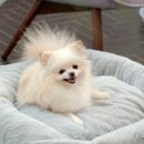 주식회사 리프팀