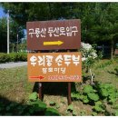 대청호오백리길 대청로하스길 이미지