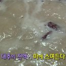 온달만두분식