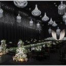 벨라마레 이미지