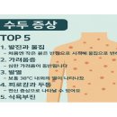 (감염병) 수두 이미지
