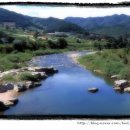 금당주유소 이미지