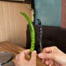 취락한방능이백숙 | [포천시 일동] 취락한방능이백숙_국물이 일품! 실시간으로 몸보신 장난없는 포천 백숙🐔