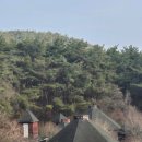 용강정비 | 무등산유네스코세계지질공원명소 무등산주상절리 시무지기폭포 장불재 입석대 인왕봉 서석대 낙타봉...