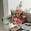 보보스튜디오