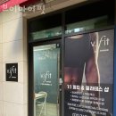 브이아이핏 이미지