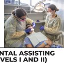 덴탈웨이 이미지