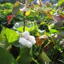 은아농장 이미지