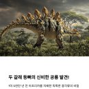 디쥬라기 | 🦕 독특한 갈래 척추를 가진 디크레오사우루스 [Dicraeosaurus]
