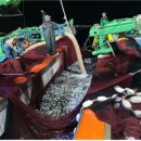 동방목장 이미지