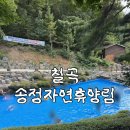 증포송정작은도서관 화장실 | 칠곡 송정 자연휴양림 물놀이｜대구 근교 아이와 가볼 만한 곳, 데크 예약 후기