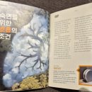 아산스테이호텔 | [아산] 천안 아산 파라다이스 도고 스파 숙소 추천 : 내 돈 내산 저스트 스테이 호텔 아산 시청점 후기