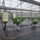 종대농장 이미지