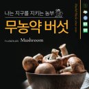 기능성머쉬 | [공지] 머쉬앤머슬? 이상한 농장명을 짓게 된 이유와 농사 철학 - 머쉬앤머슬 박세현 대표