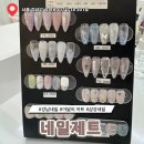 삼성2-107 | [삼성중앙역 네일] 드디어 정착할 만한 네일제트 내돈내산 솔직후기