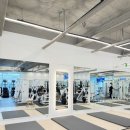 머슬카페 운서역 2번출구점 이미지