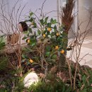 롯데백화점 구리점 이미지