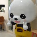 미스터힐링원주점