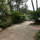 나리와꽃창포 이미지