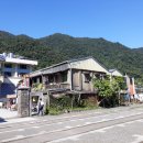 고양이 마을 이미지